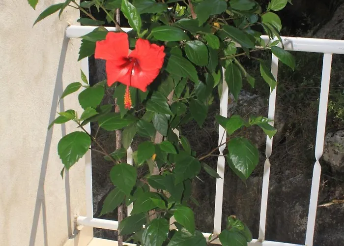 아파트 Lucica 990b *